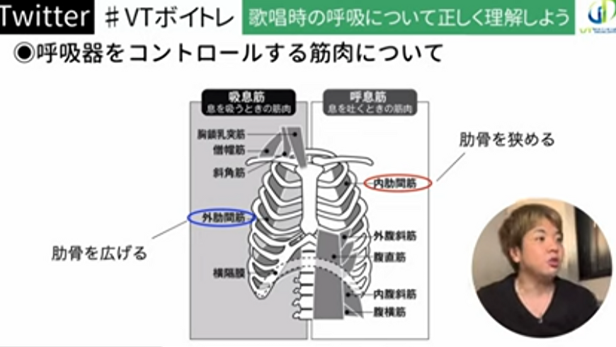 肋骨を広げる筋肉、肋骨を狭める筋肉を解説する桜田ヒロキ氏。