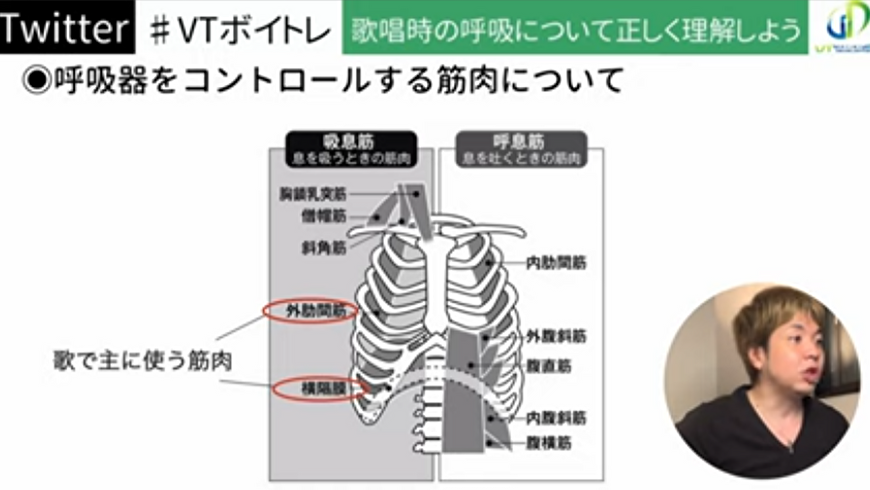 呼吸器をコントロールする筋肉について、横隔膜を紹介する桜田ヒロキ氏。